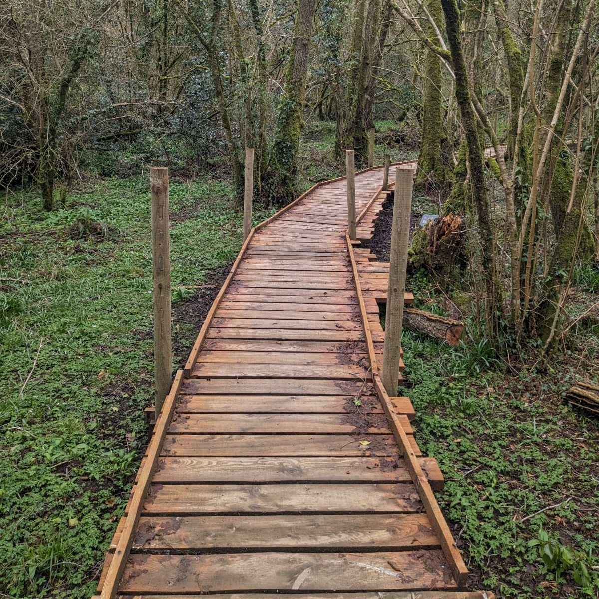 Breaking the Stigma of Mental Health for&nbsp;Veterans